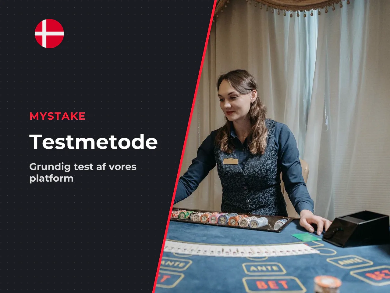 Redaktionel test, metode i vores gennemgang
