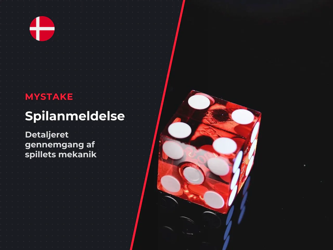 Sådan bruger du denne anmeldelse, hvis