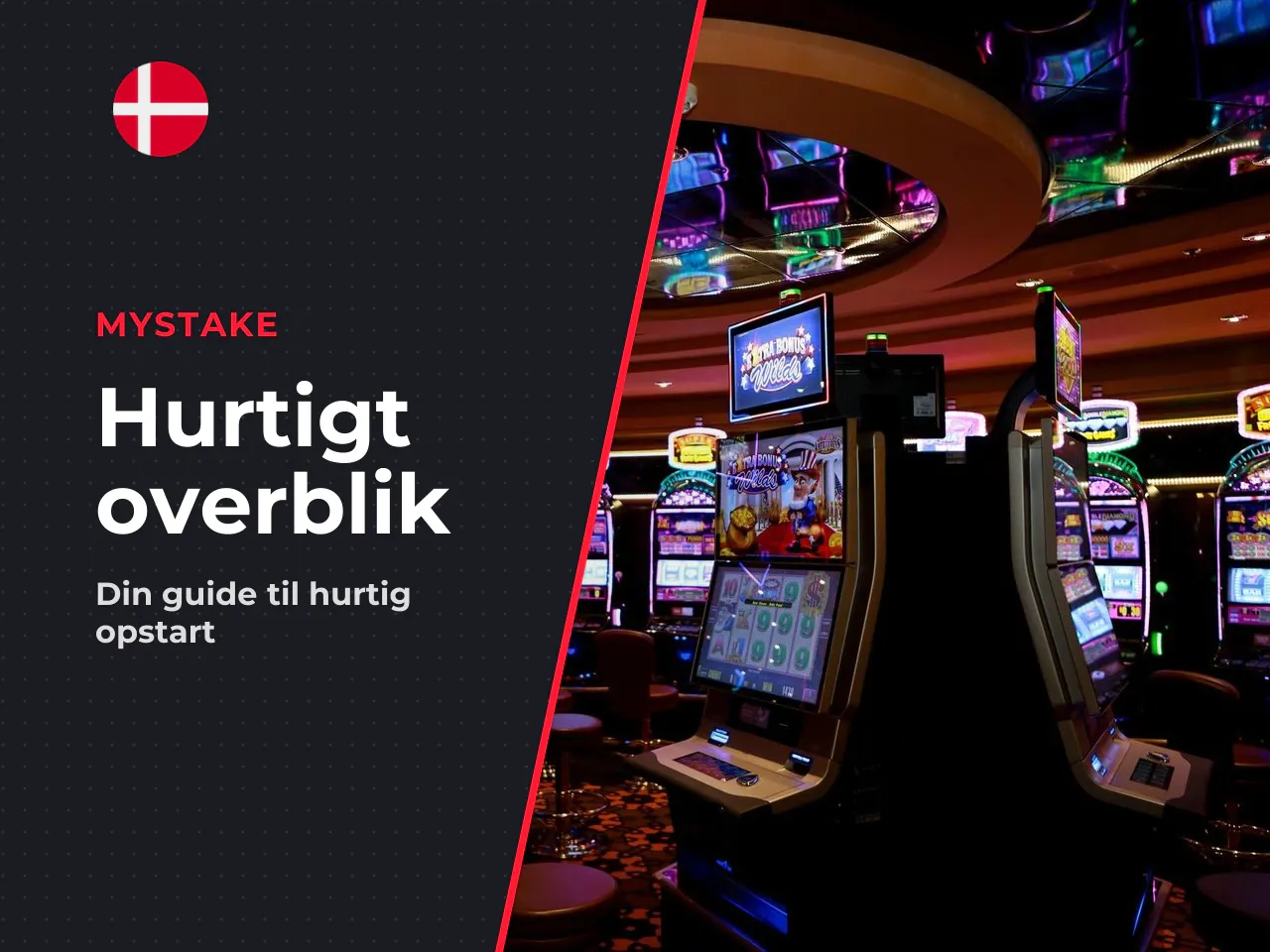 Det korte overblik læs dette først