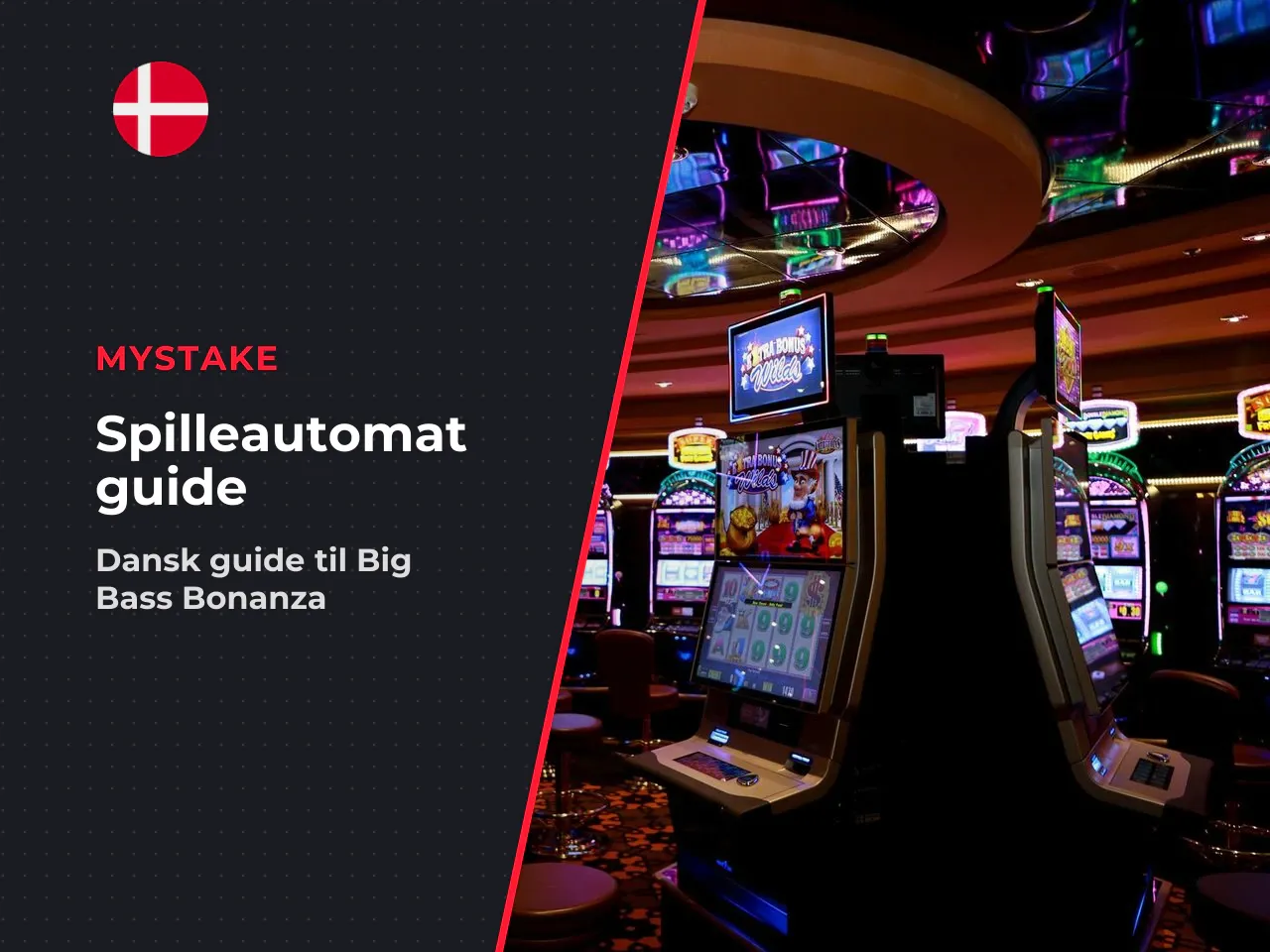 Hvad er Big Bass Bonanza slot