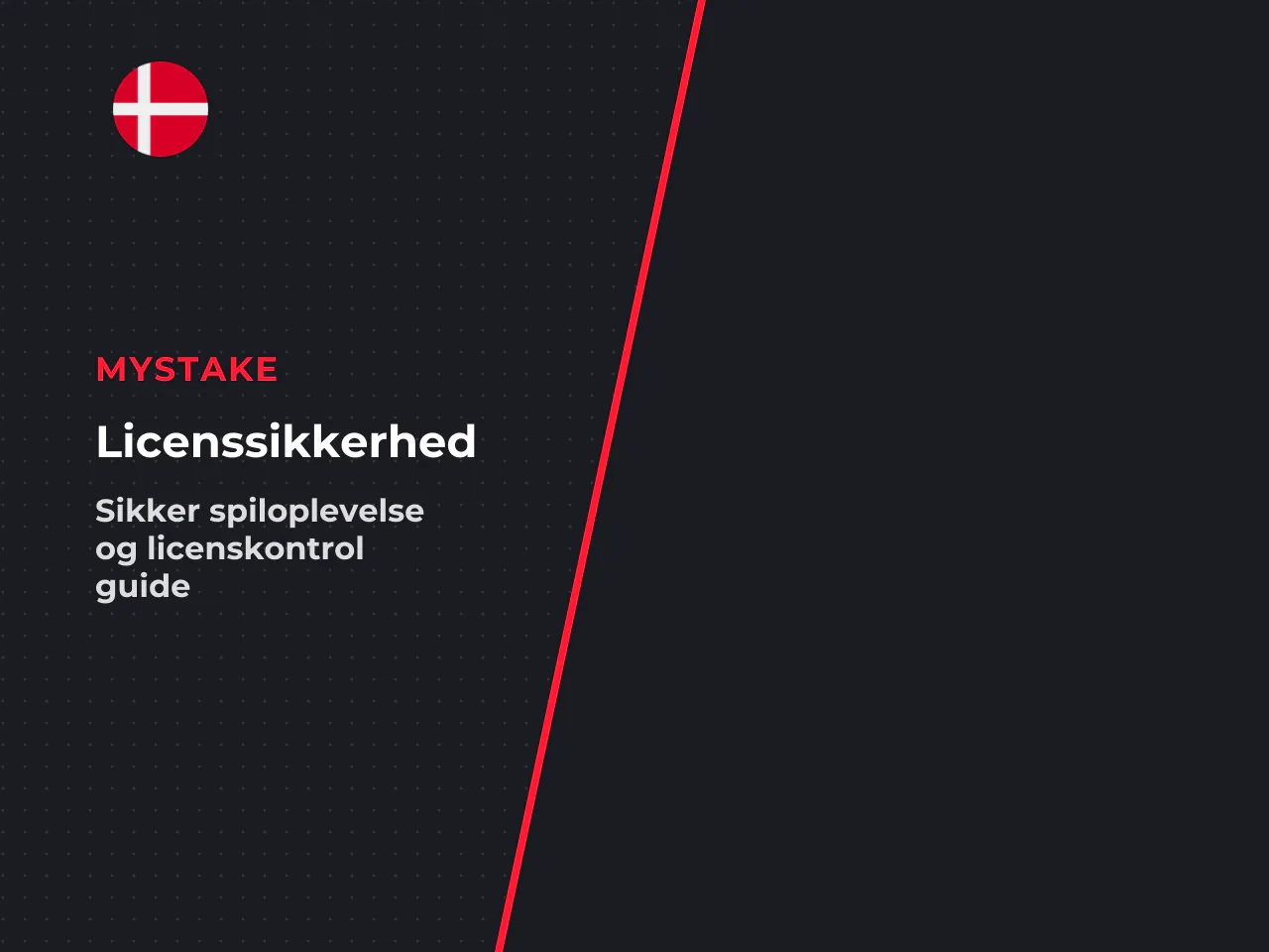 Derfor er licenstjekket dit eget ansvar