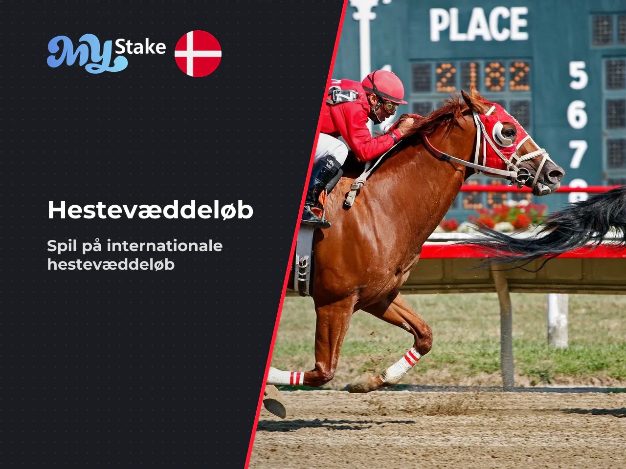 Horse Racing hestevæddeløb MyStake har en
