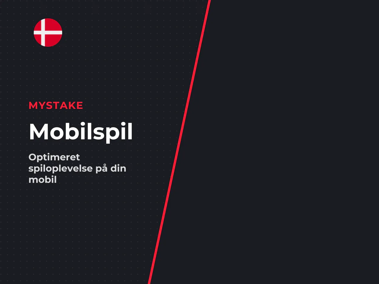 Når du åbner spillet i en