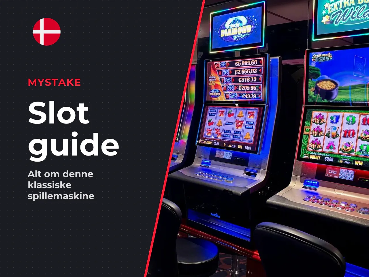 Hvad er Dead or Alive slot